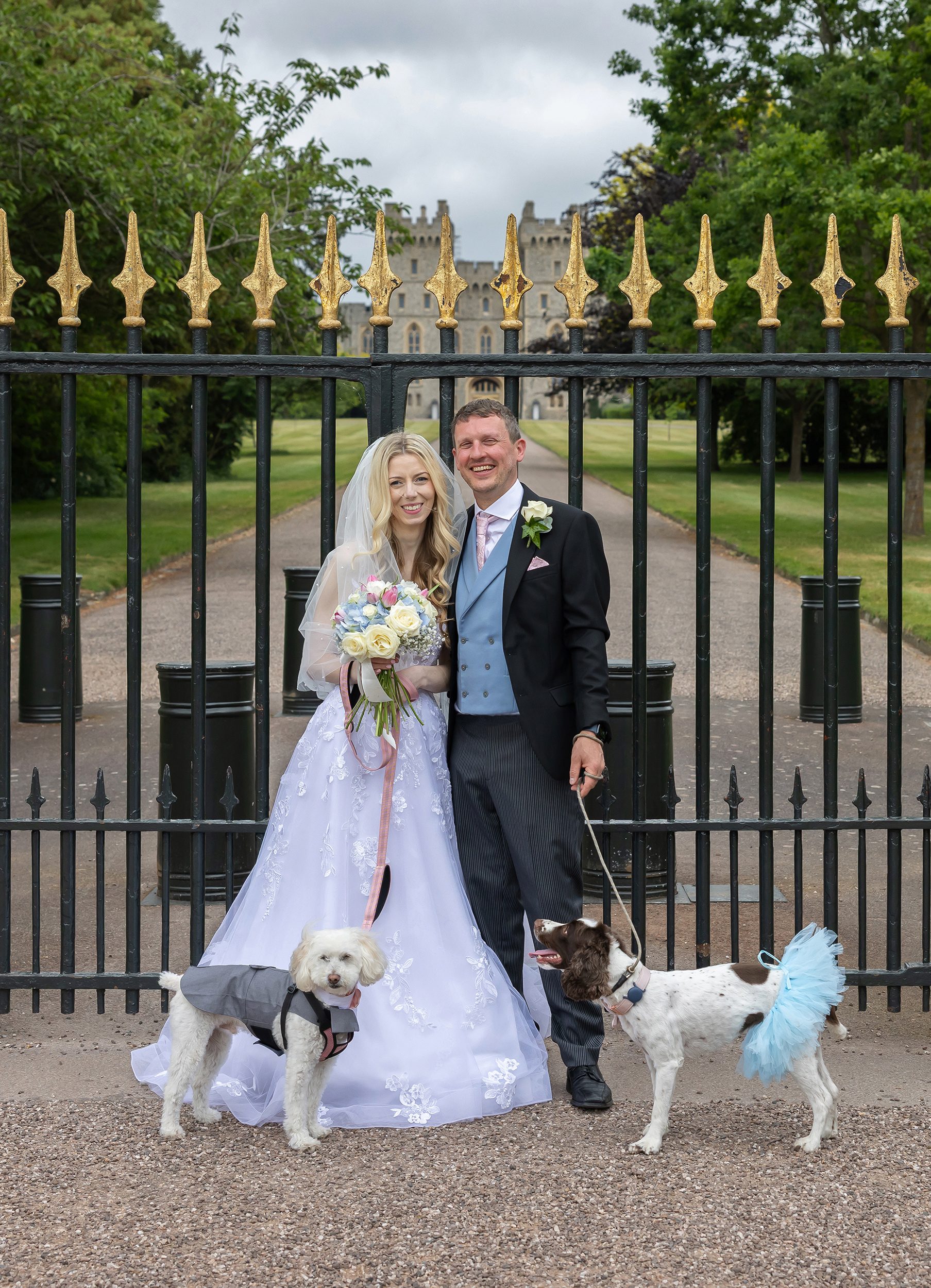 Bride and groom with dogs by Windsor Castle after wedding