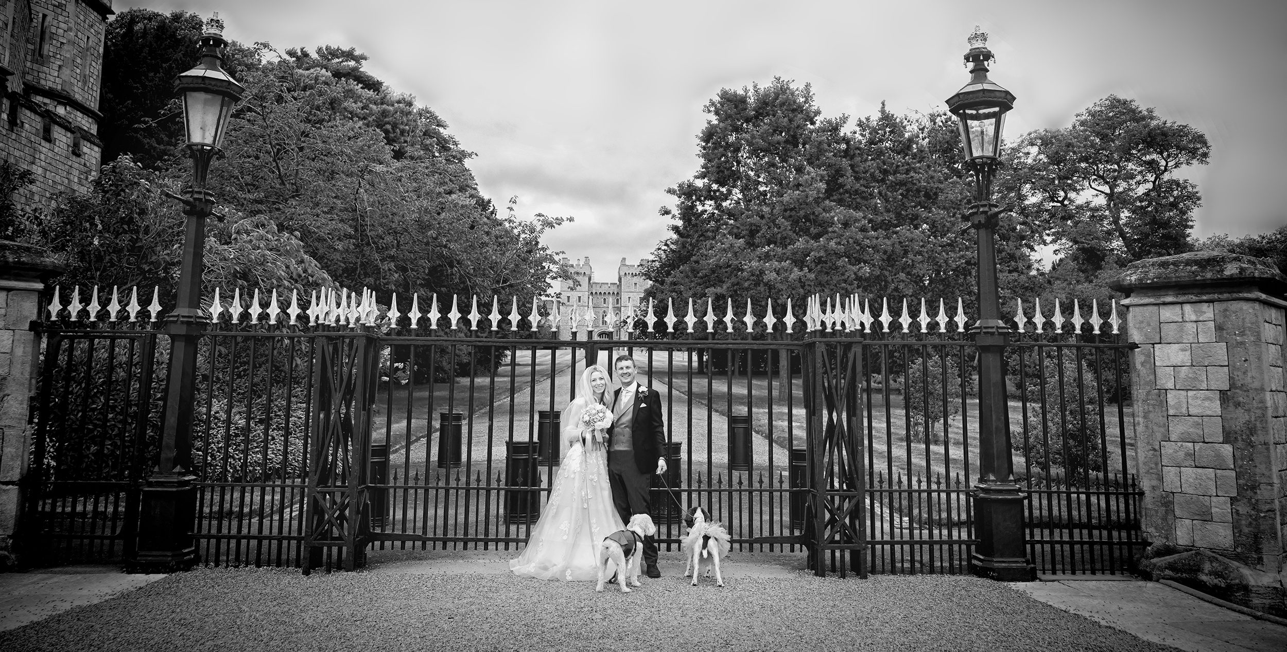 Windsor wedding couple with dogs at the gates of Windsor Castle